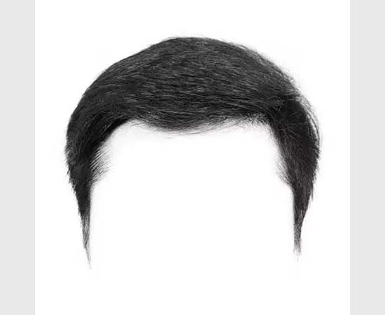 Men's toupee wig